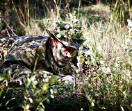OnPoint Tactical Survival School