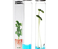 Plantarium Single Vial Garden Lab
