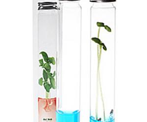 Plantarium Single Vial Garden Lab