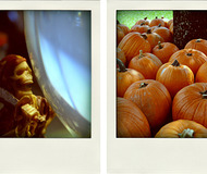 Poladroid