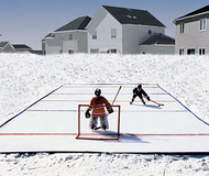 Backyard Hockey