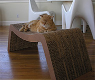 Prrrounge Chaise Lounge
