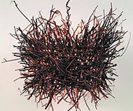 Roost Penadant Lamp
