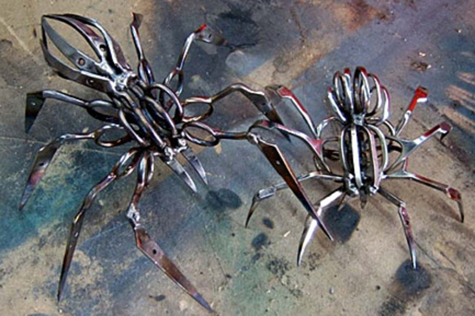 Scissor Spiders Scissor Spiders