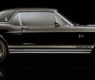 Shelby Black Hornet
