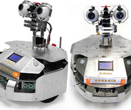 Sputnik Robot
