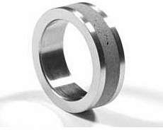 Stainless Steel and Concrete Ring