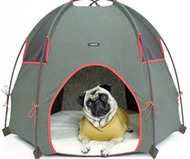 Tee-Pee Hound Lounge
