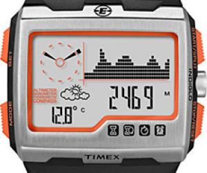 Timex Expedition WS4 Watch