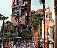 Walt Disney World Annual Pass
