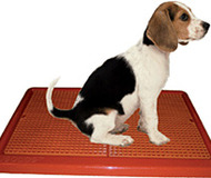 UGODOG Indoor Dog Potty