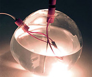 Wet Lamp