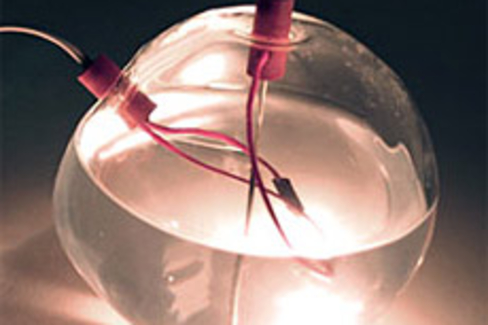Wet Lamp Wet Lamp