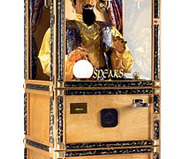 Zoltar