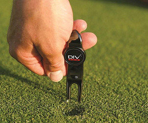 DivPro