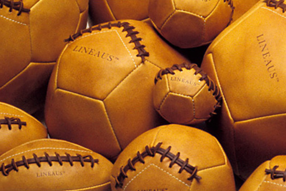 Lineaus Medicine Balls Lineaus Medicine Balls
