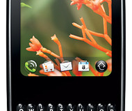Palm Pixi