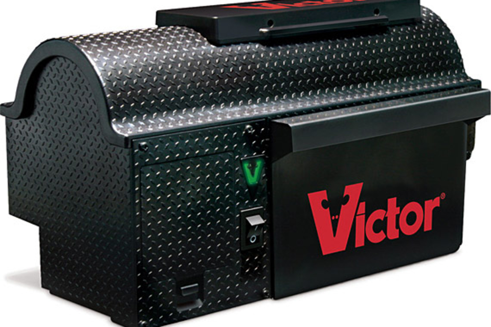 Victor Mousetrap Victor Mousetrap