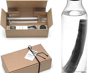 Bottle & Kishu Binchotan