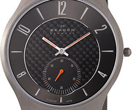 Skagen Titanium Mesh Strap Watch