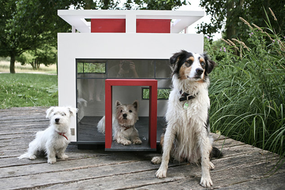 Dog Mansions Dog Mansions