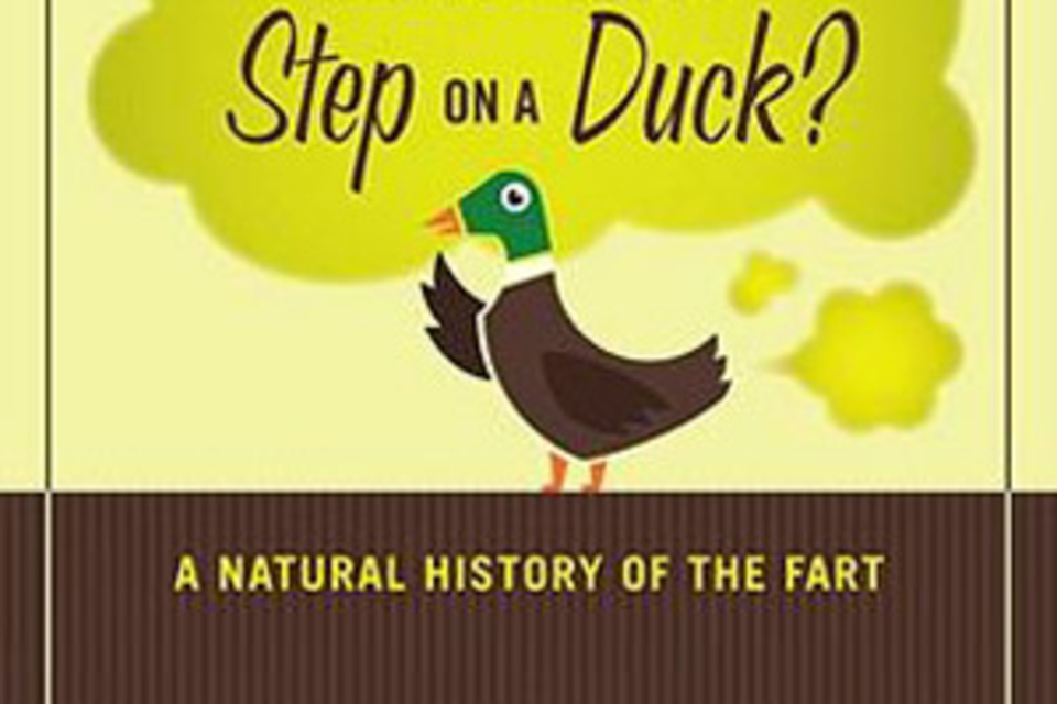 Did Somebody Step on a Duck? Did Somebody Step on a Duck?