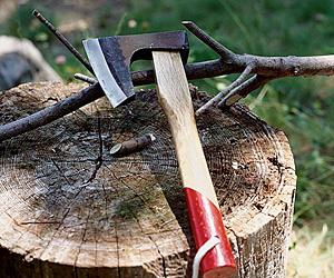Japanese Hand Axe