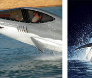 Seabreacher