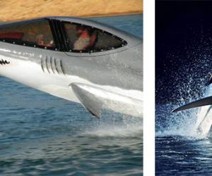 Seabreacher