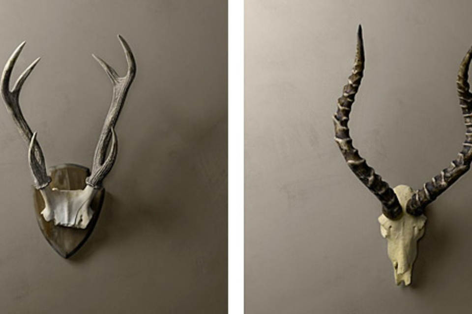 Cast Resin Horns & Antlers Cast Resin Horns & Antlers