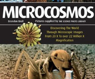 Microcosmos