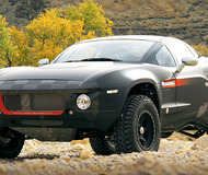 Rally Fighter