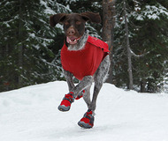 Bark'n Boots Polar Trex