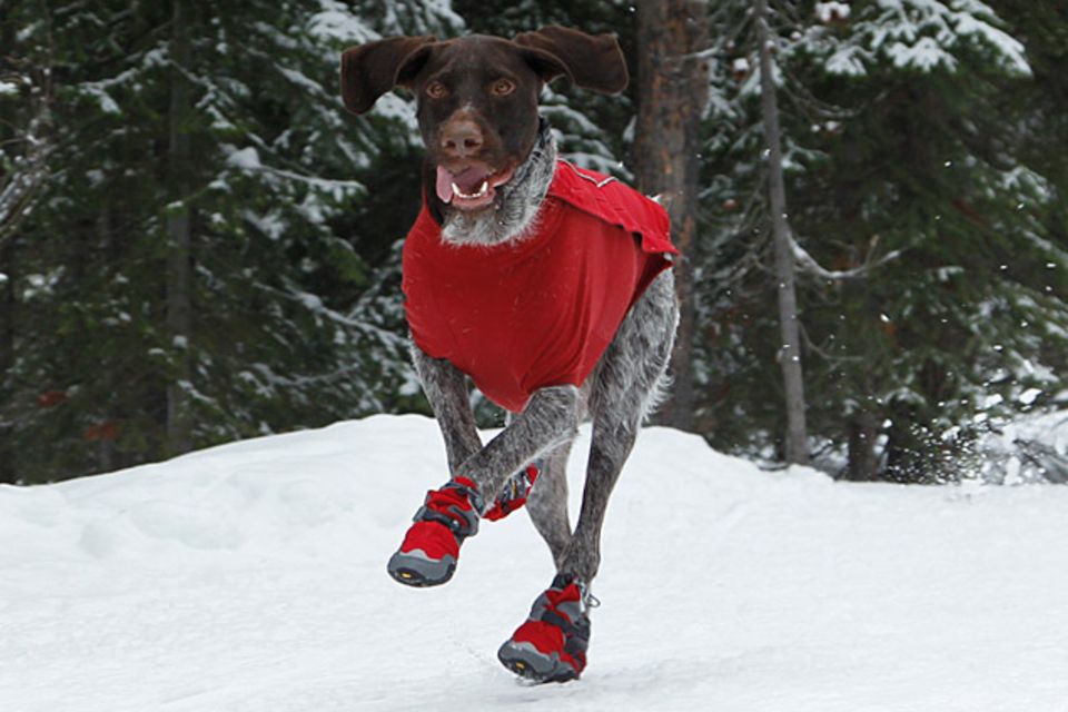 Bark'n Boots Polar Trex Bark'n Boots Polar Trex