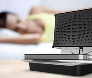 Perch Speaker