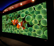 SMX Screens