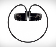 Sony Walkman W260