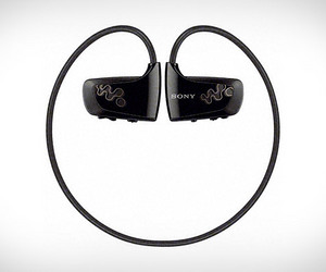 Sony Walkman W260