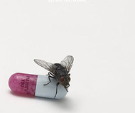 I'm With You by Red Hot Chili Peppers