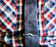 Moustache Tie Clip