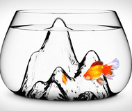 Fishscape Fish Bowl