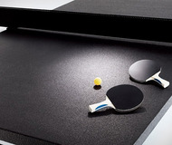 Tom Burr Ping Pong Table