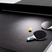 Tom Burr Ping Pong Table