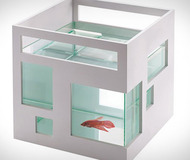 Umbra Fish Hotel