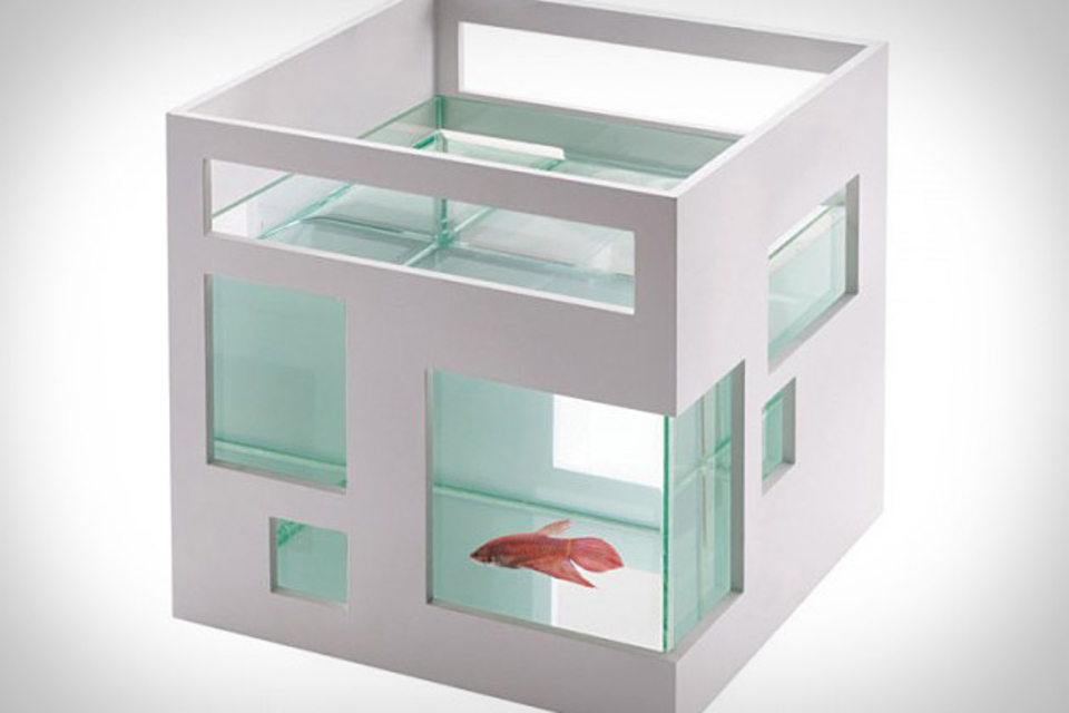 Umbra Fish Hotel Umbra Fish Hotel
