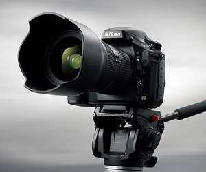 Nikon D800