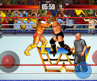 Wrestlefest