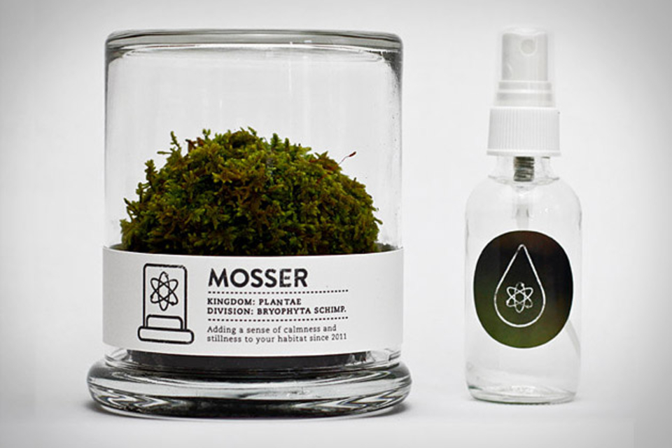 Mosser Mosser