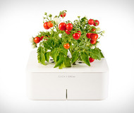 Click & Grow Smartpots