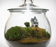 Beetlejuice Terrarium